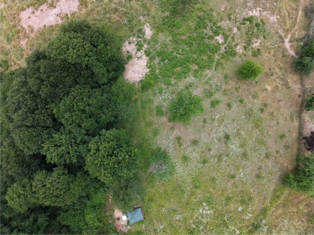 Orman sınırındaki proje sahasının drone görüntüsü