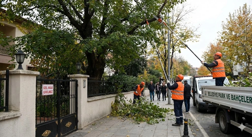 “Bahçemdeki Ağacı Belediye Budar mı?” İşte Belediyenin Sorumluluk Sınırı ve Gerçekler (2026 Rehberi)