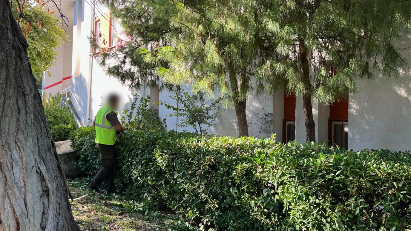 Bina önündeki çit bitkilerinin elle budanması, Atatürk Havalimanı'ndaki bir tesis